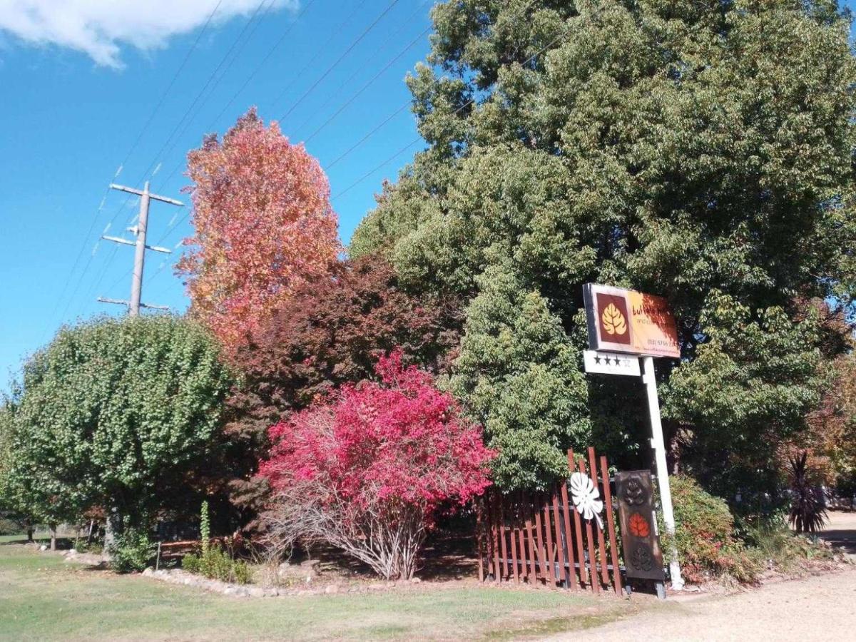 Buffalo And Country Retreat 3*